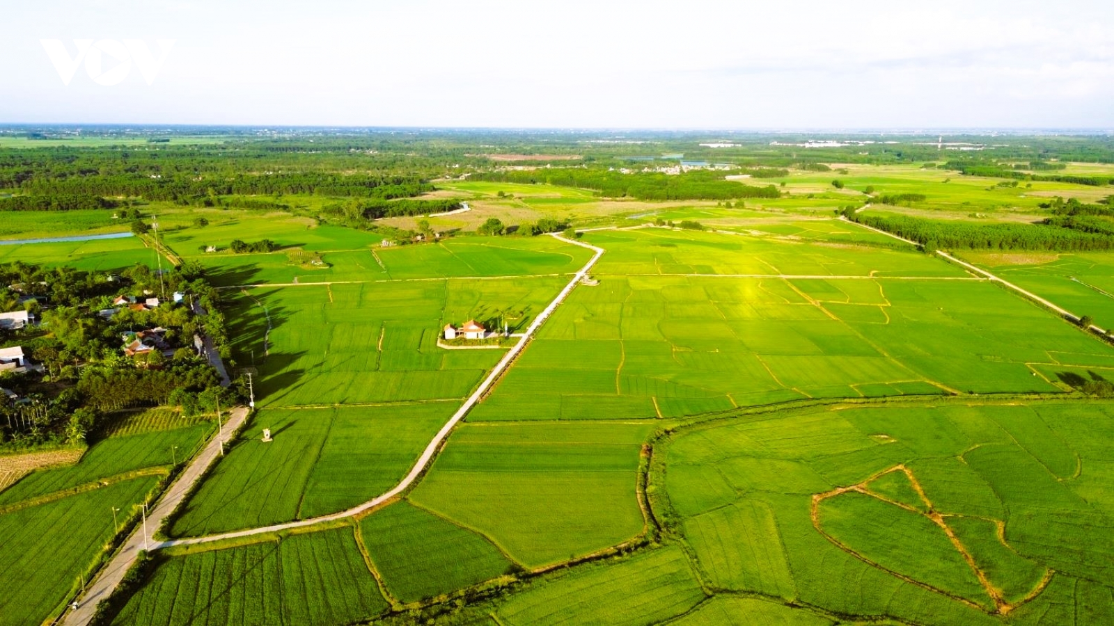 Khát vọng xanh trên đất Quảng Trị